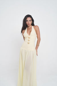 Robe longue jaune pâle à décolleté V, empiècement brodé, jupe ample plissée